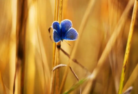 ​最有个性六个字网名(1322个)