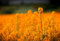 ​微信2023年网名(1637个)