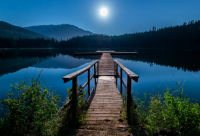 ​悲伤的四字网名大全(精选1628个)