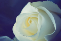 ​2023独特的二字网名(2164个)