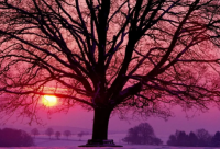 ​2023俩字网名大全(2130个)