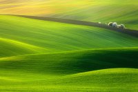 ​活得好累压力大的心情说说(17句)