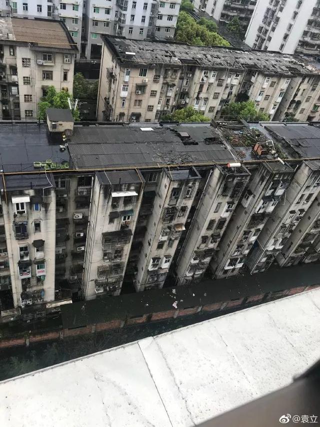 赵立新公示（你该把名字改成赵立德）(14)