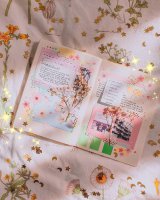 ​ipad自带的手帐软件叫什么名字（高颜值跨平台这款）