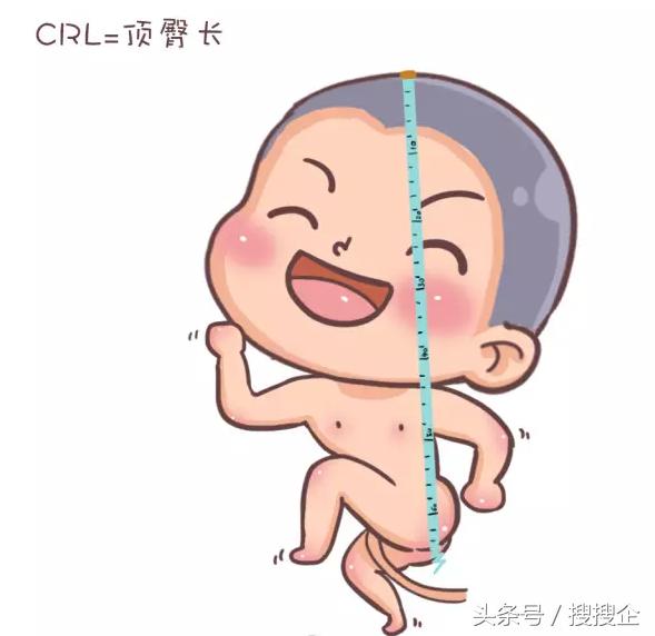 林志颖双胞胎小儿子名字（教你一眼辨别宝宝性别）(12)