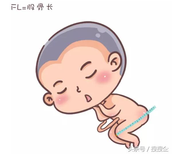 林志颖双胞胎小儿子名字（教你一眼辨别宝宝性别）(9)