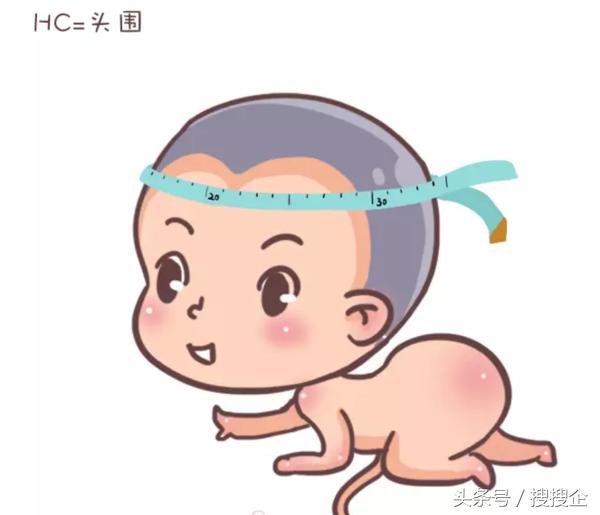 林志颖双胞胎小儿子名字（教你一眼辨别宝宝性别）(7)