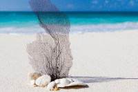 ​和平精英搞笑名字