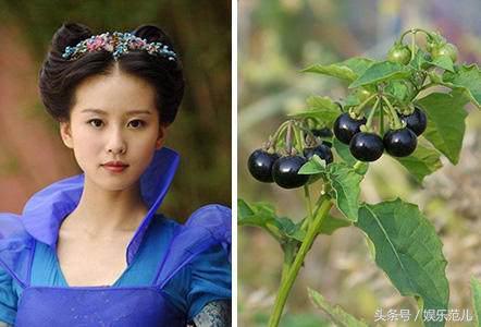 仙剑三人物名字来源（仙剑三中主角对应的植物很少人能认全）(7)