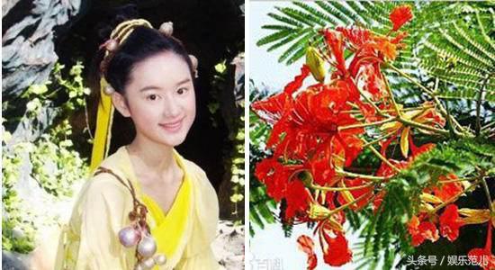 仙剑三人物名字来源（仙剑三中主角对应的植物很少人能认全）(8)