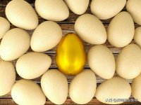 ​深圳公司免费起名什么名字寓意好（核名通不过有木有）