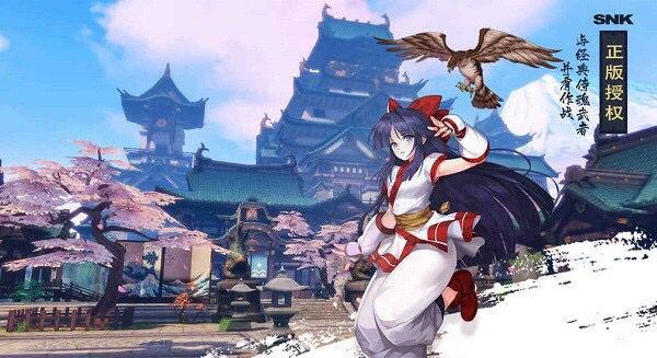 拳皇所有人物介绍名字以及样子（拳皇中的外来人口）(8)