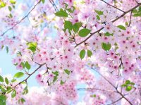 ​好听的古典网名