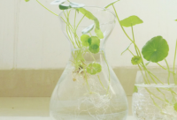 ​伤心qq网名精选168个