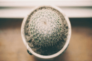 有趣又沙雕的游戏id