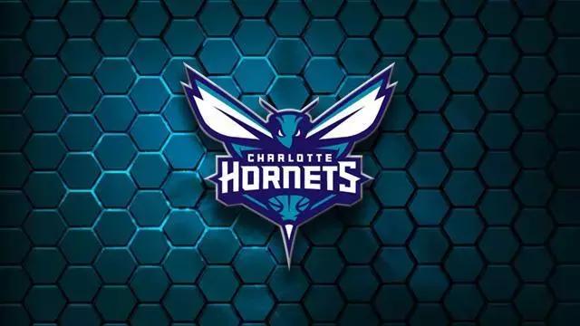 nba球队logo图标及名字 五大NBA球队LOGO收藏着(9)