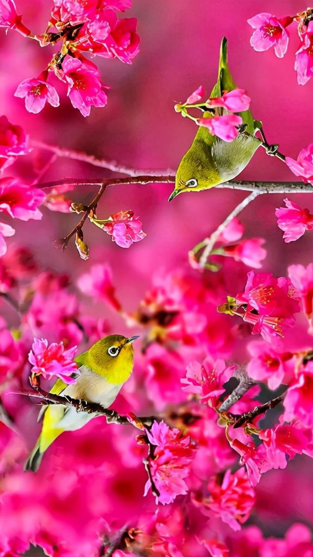 怎么取个好听又吉利的名字（怎样起个好名字）(2)