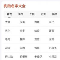 ​独一无二的狗狗名字（独一无二的狗狗名字大全）