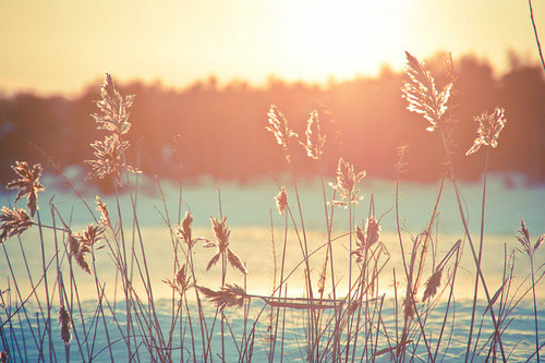 心情高兴激动的好句子(精选80句)