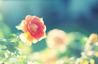 ​说说心情搞笑短语2023年90句