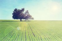 ​不被信任的心情说说(55句)