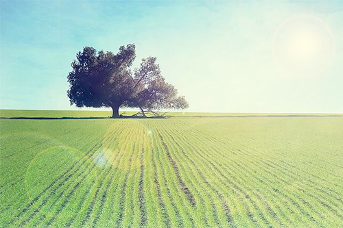 不被信任的心情说说(55句)