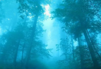 ​2023火爆昵称符号网名(优选189个)