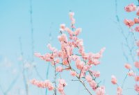 ​好听少女心甜美的昵称 【笑wǒ自作多情】