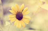 ​描写放松心情的句子82句