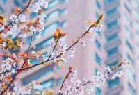 ​夏天的唯美网名 笑臉給多了慣的都是病