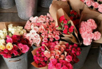 ​成熟稳重的网名大全186个