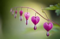 ​关于等待的心情说说83句