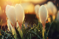 ​传奇骚气名字 传奇最牛名字大全