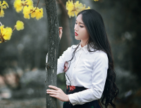 ​非常可爱的名字,呆萌可爱的昵称