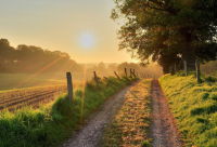 ​2023游戏公会名字帮派名字大全