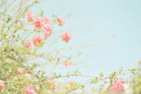 ​qq心情说说签名84句