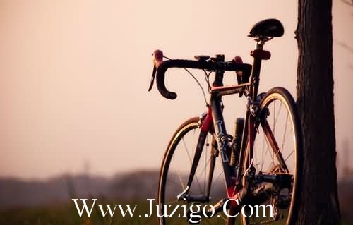 搞笑心情语录大全110句