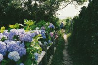 ​心情低落说说发朋友圈一个人心情不好的句子(60句)