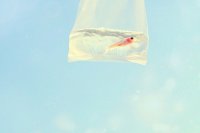 ​qq伤心心情签名80句