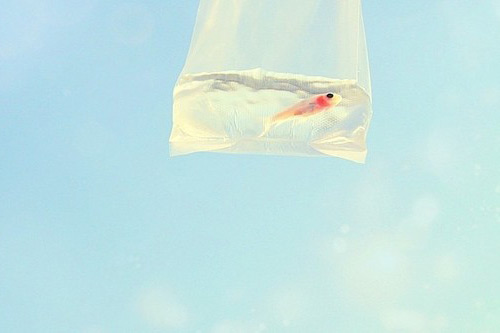 qq伤心心情签名80句