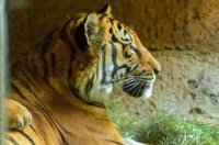 ​伤感钉钉个性网名