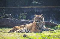 ​有意义的网名