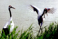 ​dnf狂战士名字大全(212个)