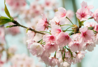 ​独一无二霸气网名女精选183个