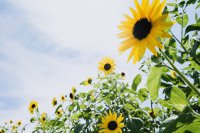 ​性签名心情短语81句