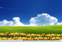 ​非主流的qq名167个