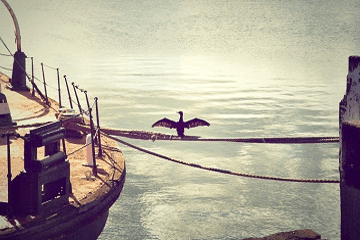 简单开心的微信名