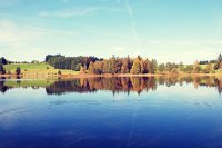 ​表达内心压抑的句子很适合心情释放的句子(89句)