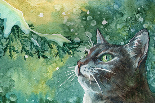 人要为自己而活的说说 为自己而活的说说心情(46句)