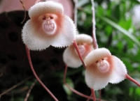 ​2023励志网名好听又有内涵又简短--劳资就不淑女范儿